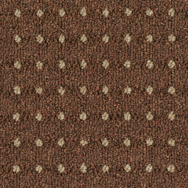 Autumn Leaf.jpg